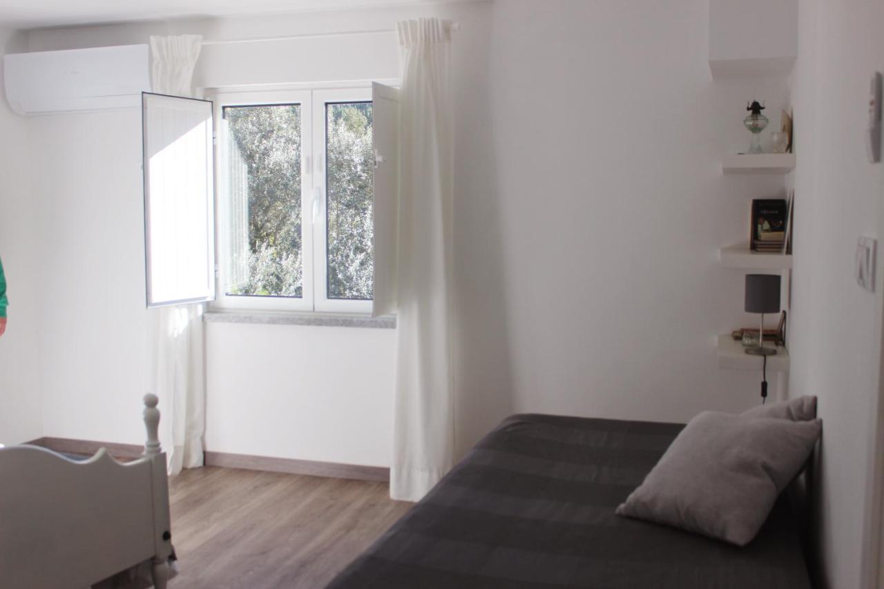 Casas D'Almofala Vila de Rei Exteriér fotografie